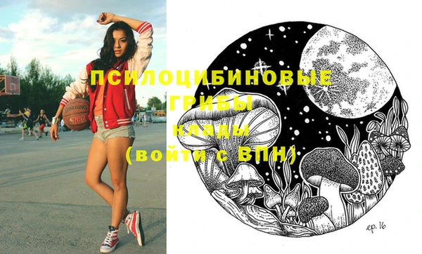 твердый Абаза