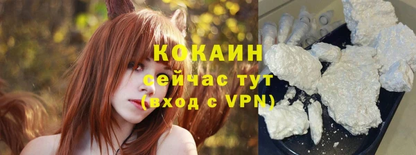 твердый Абаза
