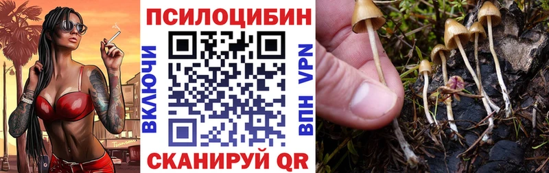 наркотики Рыльск Галлюциногенные грибы Psilocybe